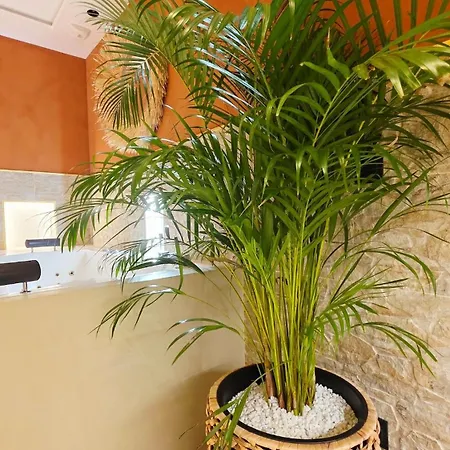 Escape Zen - And דירה